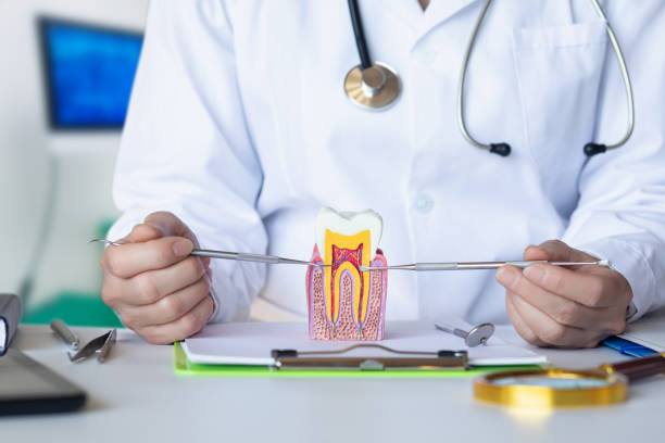 Best Weekend Emergency Dentist in Plafield, IN